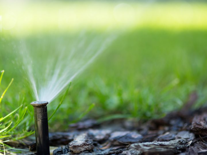 What You Need To Know About Lawn Irrigation Backflow Devices