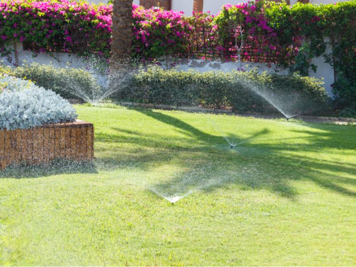 Signs That You Are Overwatering Your Home’s Lawn