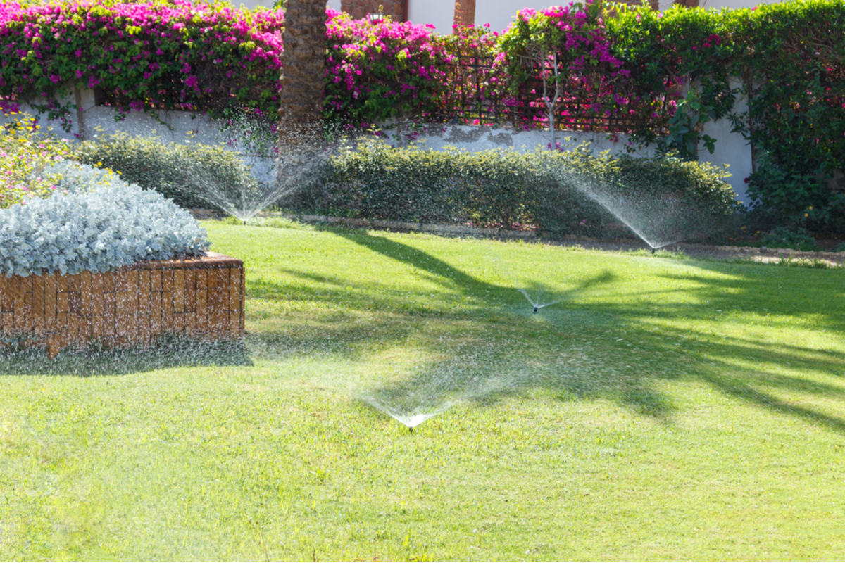 Signs That You Are Overwatering Your Home’s Lawn