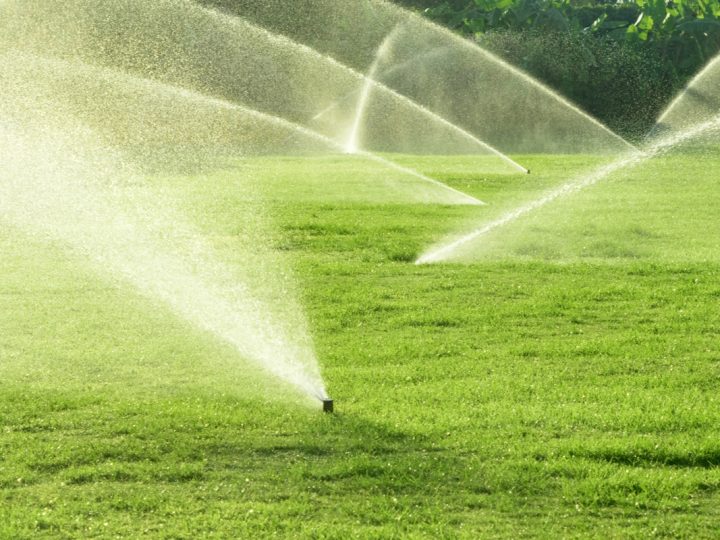 Three Reasons To Switch To An In-ground Sprinkler System